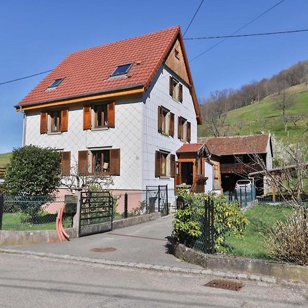 Spacieux Et Confortables Gites A Proximite Randonnees, Lacs, Ski Nature Sondernach Exterior foto