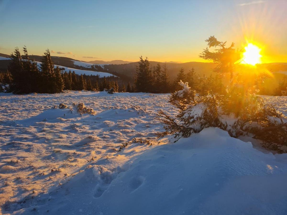 Spacieux Et Confortables Gites A Proximite Randonnees, Lacs, Ski Nature Sondernach Exterior foto