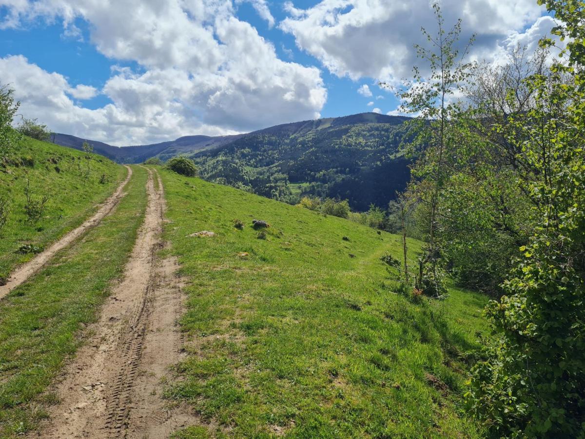 Spacieux Et Confortables Gites A Proximite Randonnees, Lacs, Ski Nature Sondernach Exterior foto