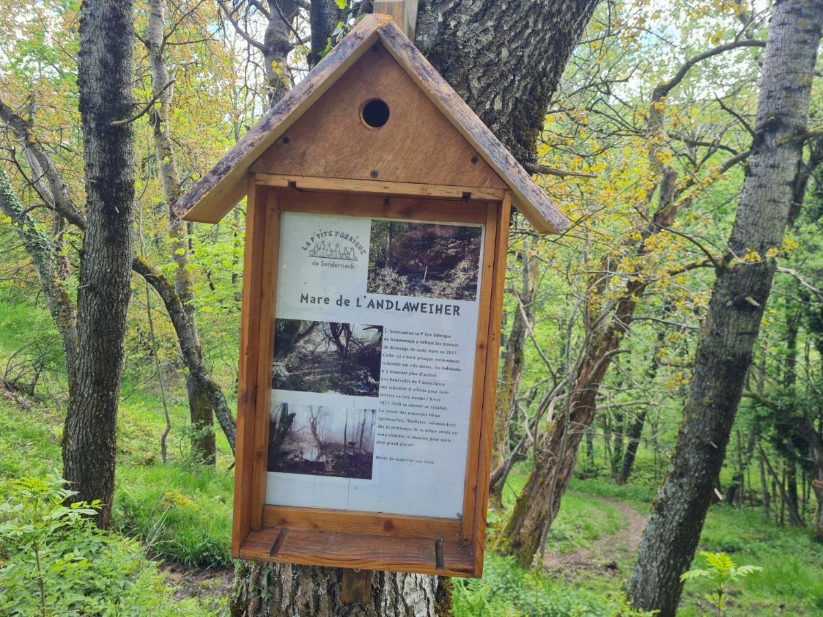 Spacieux Et Confortables Gites A Proximite Randonnees, Lacs, Ski Nature Sondernach Exterior foto