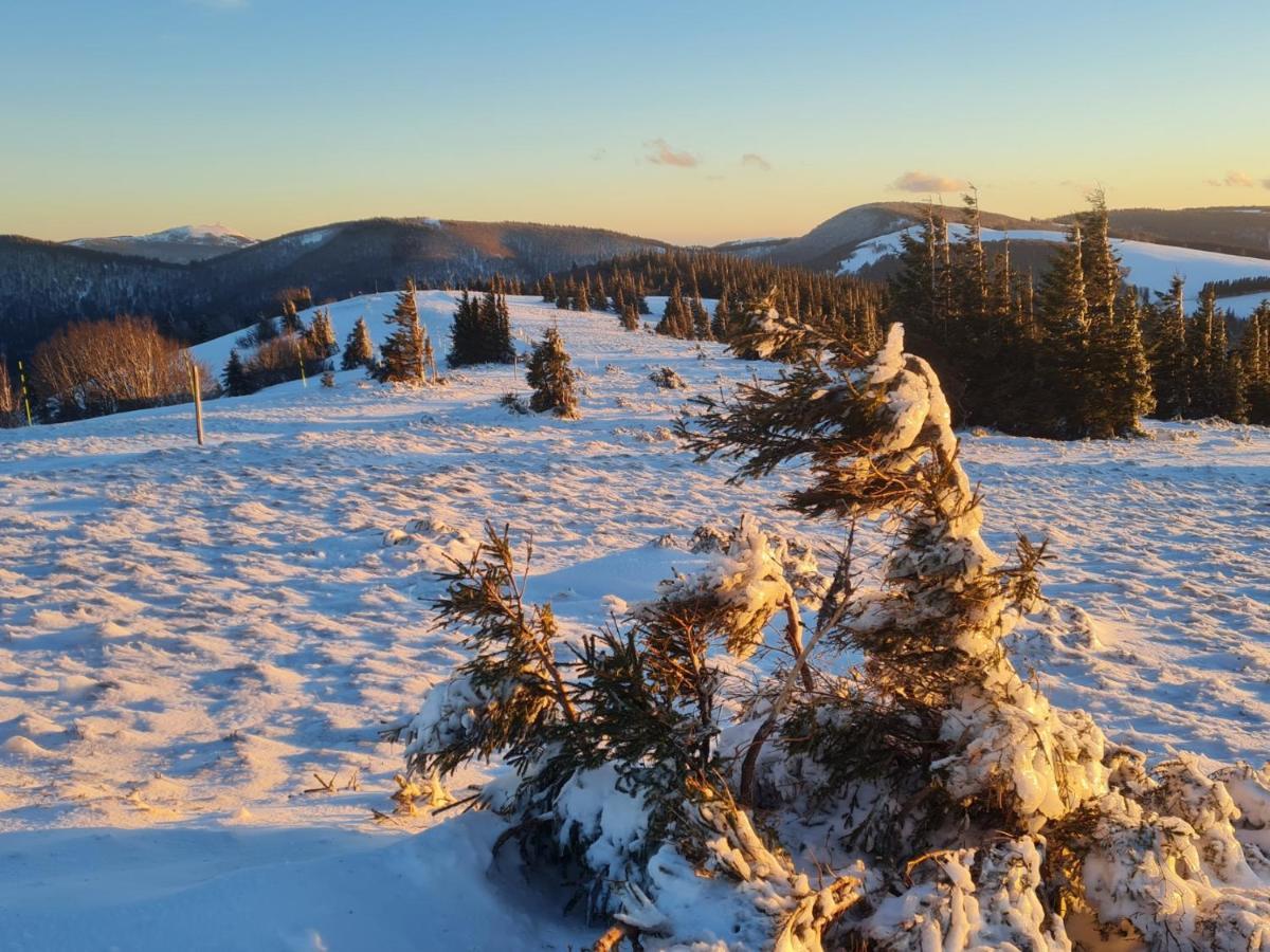 Spacieux Et Confortables Gites A Proximite Randonnees, Lacs, Ski Nature Sondernach Exterior foto