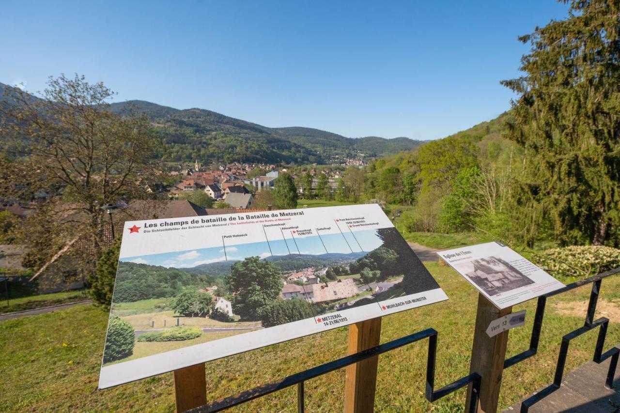 Spacieux Et Confortables Gites A Proximite Randonnees, Lacs, Ski Nature Sondernach Exterior foto