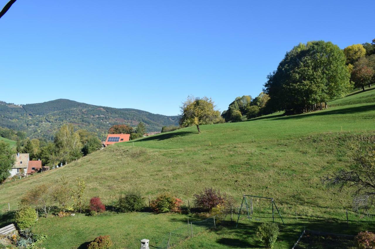 Spacieux Et Confortables Gites A Proximite Randonnees, Lacs, Ski Nature Sondernach Exterior foto
