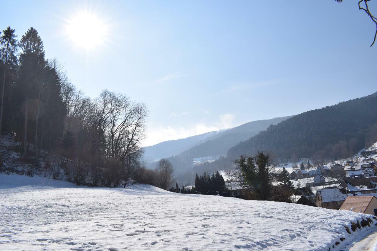 Spacieux Et Confortables Gites A Proximite Randonnees, Lacs, Ski Nature Sondernach Exterior foto
