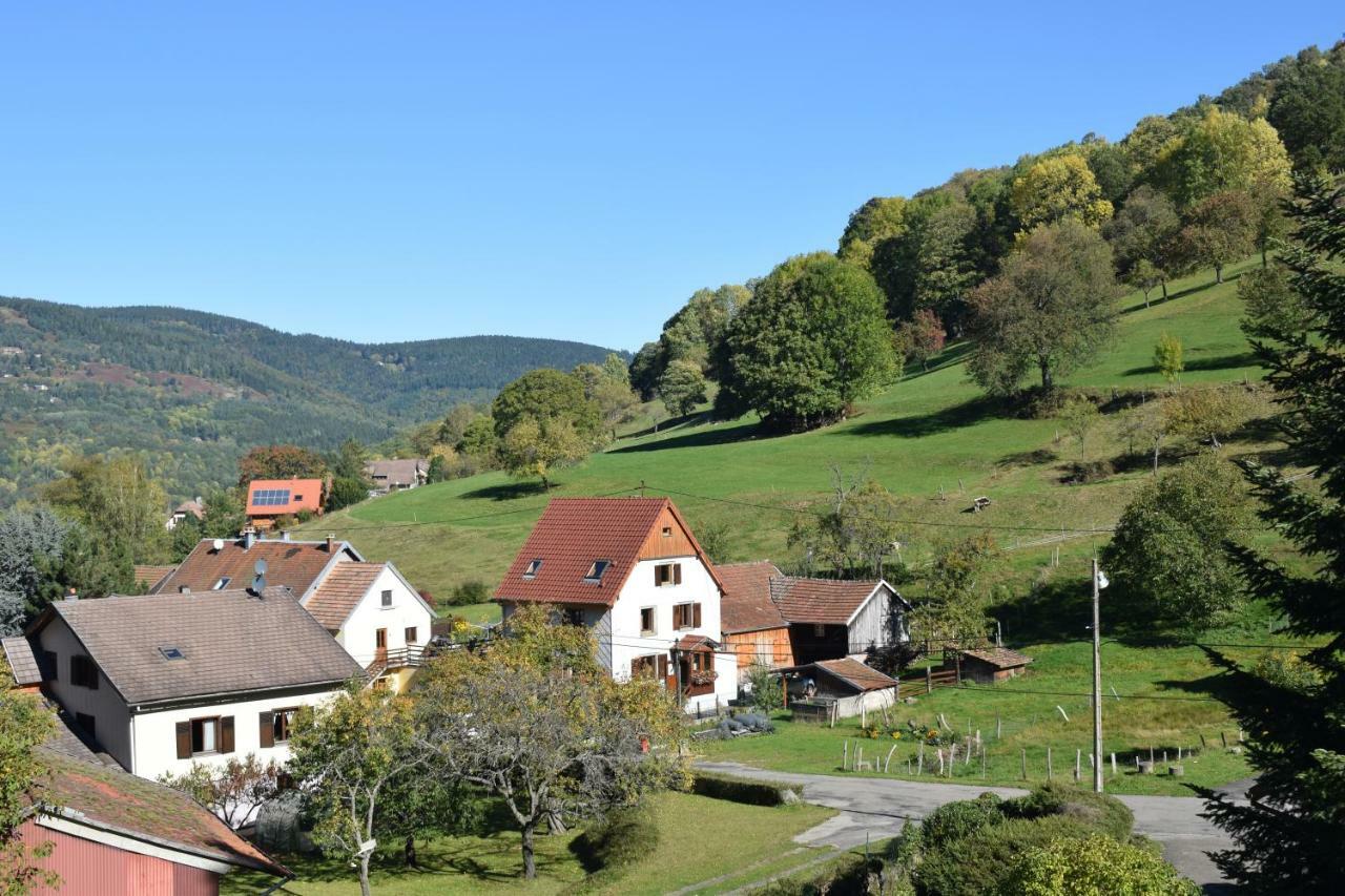 Spacieux Et Confortables Gites A Proximite Randonnees, Lacs, Ski Nature Sondernach Exterior foto